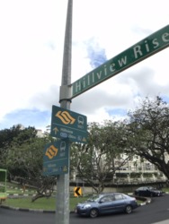 Hillview Park (D23), Condominium #157763802